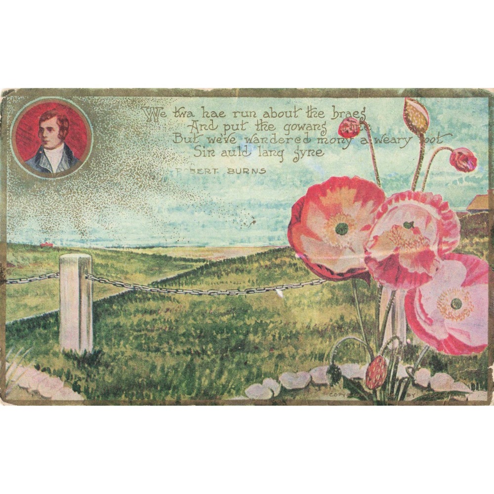 Vtg Robert Burns Auld Lang Syne Scottish Poet Pink Poppies Floral Postcard